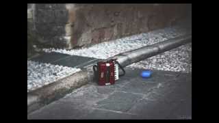 Winded The Walkabouts