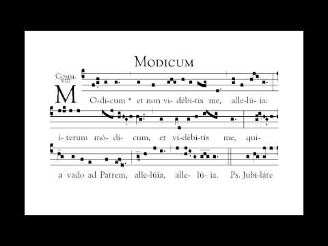 Antiphona Communio : Modicum