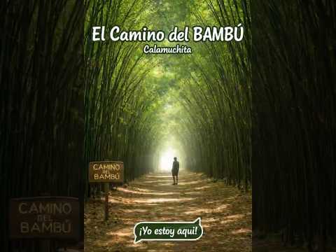 l Camino del BAMBÚ en Calamuchita | Un refugio natural  #Calamuchita #CordobaArgentina