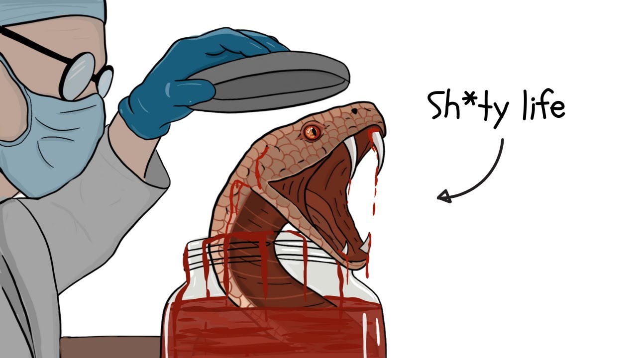 Why It Sucks to Be a Lab Snake