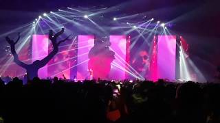 PNL - Je Vis Je VIsser (Bercy 21/11/2017)