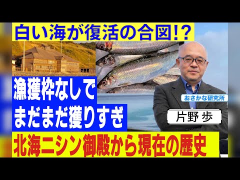 Is the Herring Palace a relic of the past? The key to reviving Japan's marine resources lies in N...