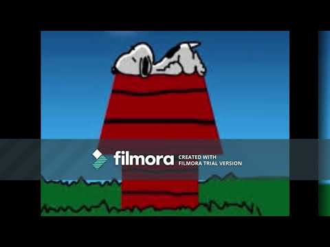 Yoshee  Max, Ruby, And Yoshee