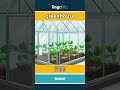 greenhouse - 温室 video thumbnail