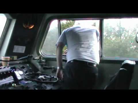 Der ganz normale Wahnsinn - The whole ordinary madness