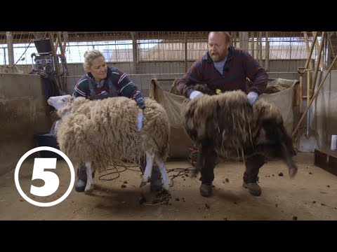Best of Världens tuffaste jobb med Carina Berg
