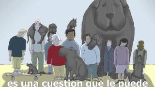 Yo tenía un perro negro - Alternativa Psicología