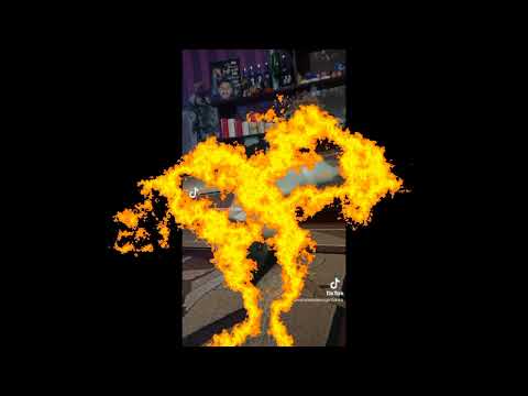 Persian meowing sri lanka