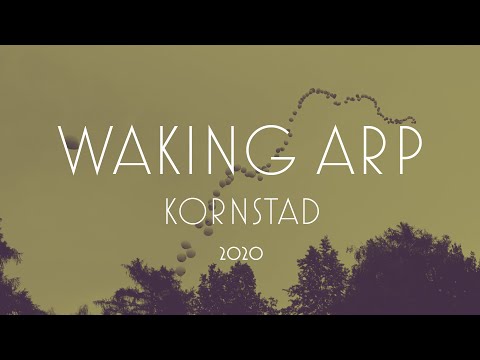 Håkon Kornstad – "Waking Arp"