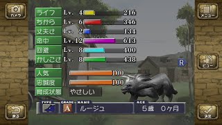【モンスターファーム】育成1匹目でメギラス撃破‼️