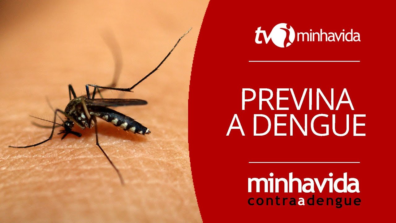 Dengue: previna