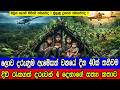 ඇමේසන් වනයේ දින 40ක් තනිවම දිවි රැකගත් �