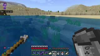 マイクラ