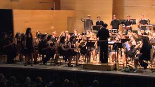 Abriendo Puertas - Gloria Estefan BSDT2011 &quot;Banda Simfònica de la Diputació de Tarragona&quot;