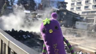 maju のライブ配信