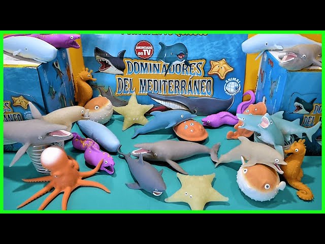 Vídeo relacionado con 24 Peces Tropicales Decorativos, Modelos Simulados de Animales Marinos, Juguetes de Plástico Blando para Niños, Suministros de Fiesta Temática Marina