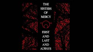 The Sisters of Mercy   Possession