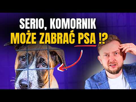 The bailiff can NOT take it from you – and almost no one knows about it