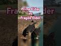 prime elder vs normal elder deino | The Isle Evrima hordetest #theisleevrima #deinosuchus  #dinosaur