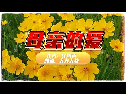 汪国真诗集&mdash;&mdash;母亲的爱 朗诵：大吉大林