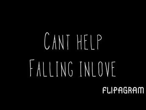 Can't Help Falling Inlove (Cover)