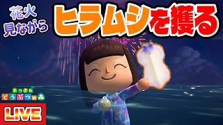 【あつ森】海の幸コンプリート最後の1匹！ヒラムシを花火を横目に捕まえるぞ！