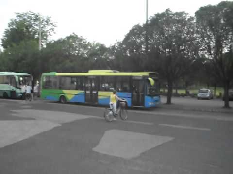 Siófok helyi járatos buszai pihenőn
