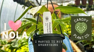 Direct to Customer: Inside Look at Top Online Nursery