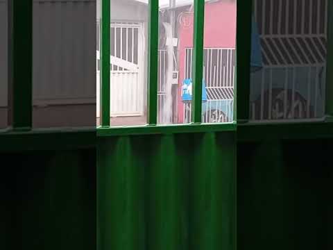 chuva com granizo e tento em sítio d' abadia Goiás!