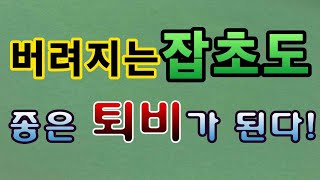 [텃밭농부.737]  버리는 잡초도 좋은 퇴비 재료다 #퇴비만들기