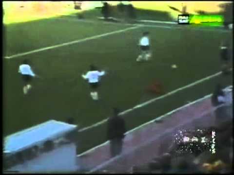 Catanzaro - Cesena 3-0 - Campionato 1981-82 - 13a giornata