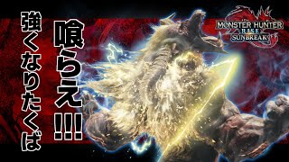 エルガドのBGMをえっちにして草 - 【PC版サンブレイク】狂竜症【蝕】の付いた部位を増やしていきたい男の毎日健康傀異錬成生活