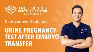 Dr Jovanovic Explains: Urine Pregnancy Test After Embryo Transfer