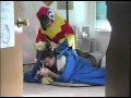 Big Bird Wake Up