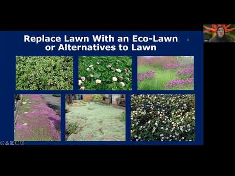 Pacific Northwest Native Plants for Climate Resilience