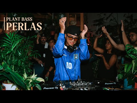 R&B Grooves & Afrobeats at a Brooklyn Plant Shop | Perlas