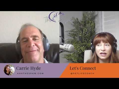 Pet Vaccinations Explained! With Holistic Health Veterinarian Dr. Michael Dym