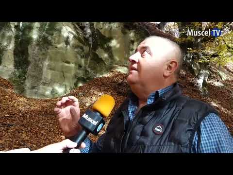 jurnal MUSCEL TV 12 12 2025 MINUNILE DE LA NUCȘOARA