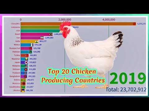 Top 20 largest chicken producers in the world (1960-2019) || Livestock Production each year