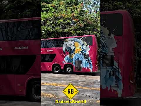 VIAÇÃO EUCATUR X EXPRESSO ADAMANTINA NO TIETÊ #short #rodoviabraszil #bus #onibus #saopaulo #shorts