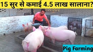 विदेश छोड़ सूर पालन करता|How to Start pig farming in india|Beginners Tips|pig farm Punjab