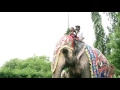 Yaanai Varuthu Yaanai Varuthu Tamil Children Song Creative Head Amalan Jerome