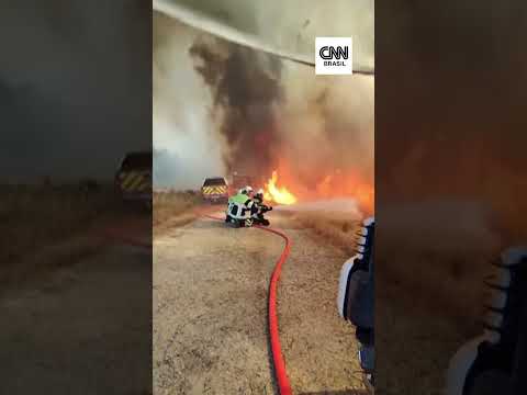 Bombeiros lutam para combater incêndios florestais na França