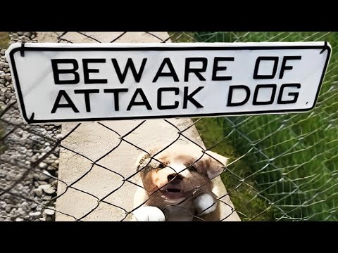 r/Quityourbullsh*t | run.