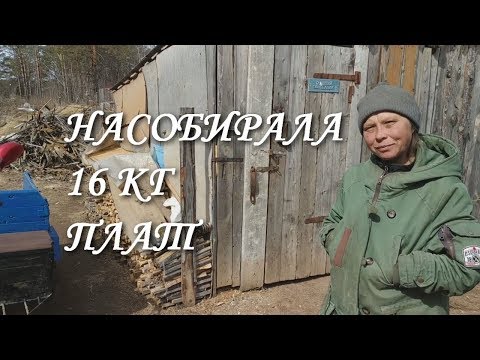 ЕДУ НА СВАЛКУ К АНЖЕЛЕ / РАДИОЛОМ