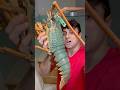 Cooking MASSIVE Green Lobster