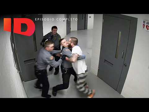 El Oso Subestimó Al Puma… Y Casi Lo Paga Caro