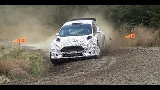 preview picture of video 'Pirelli International (RBF) Rally 2013 [HD] - PURE SOUND'