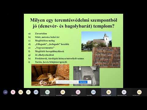 1 Dr Boldogh Sándor Épületlakó fajok védelmének tapasztalatai ÉK Magyarországon