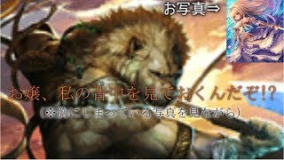 【シャドウバース】シャドバ実況part66ゆっくりカード考察【ゆっくり実況】